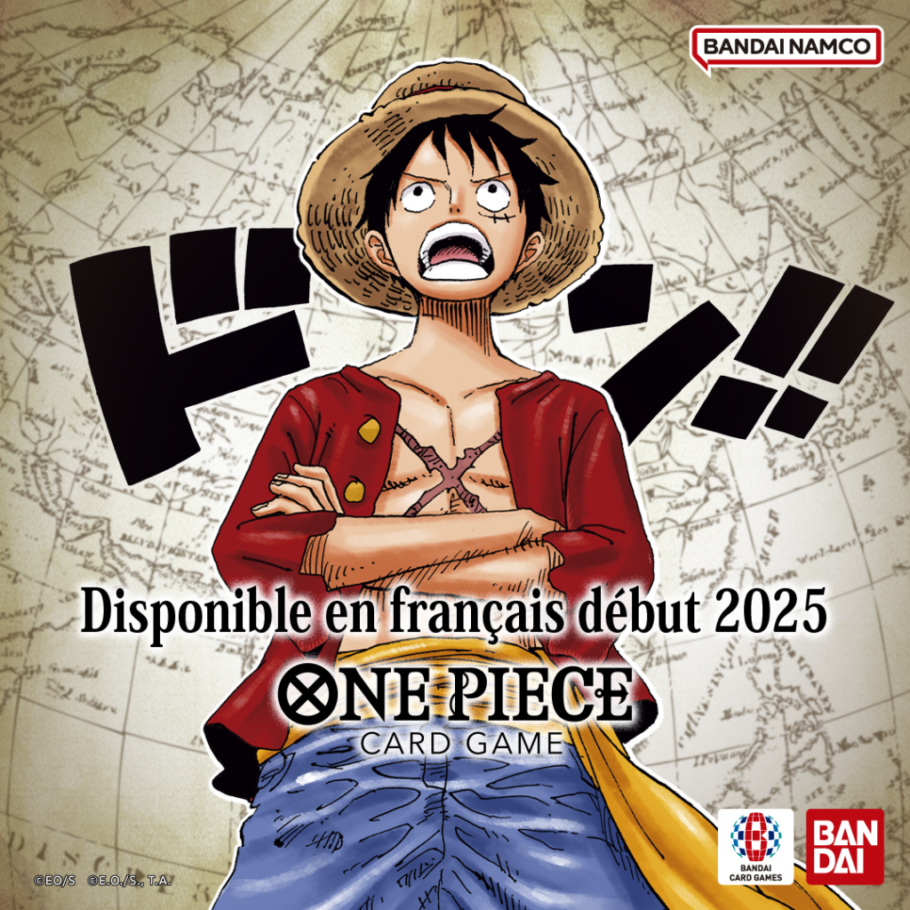 TCG One Piece French