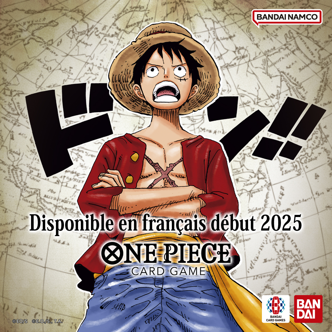 TCG One Piece French